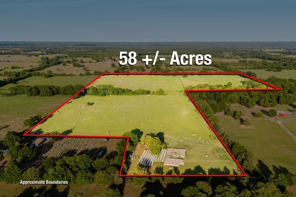 58.44 acres in Wood County - photo 4