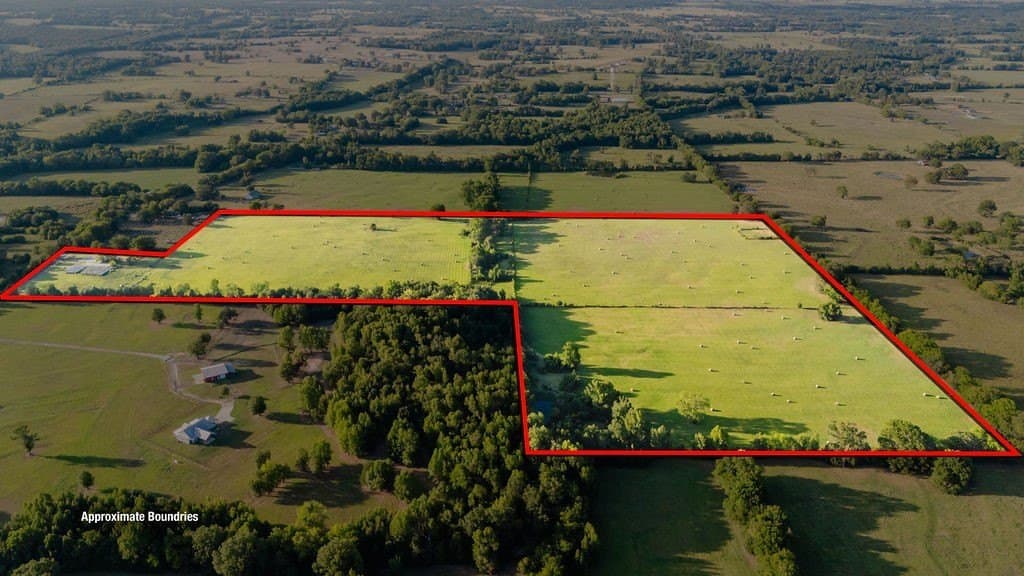 58.44 acres in Wood County - photo 8