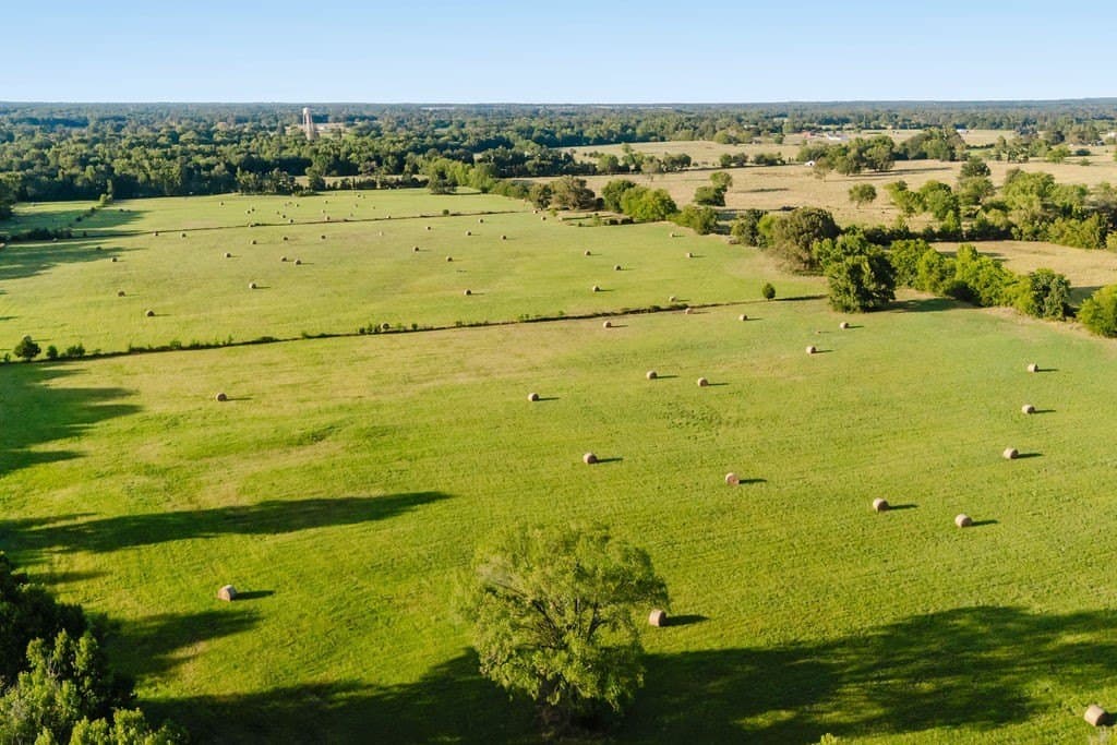 58.44 acres in Wood County - photo 9