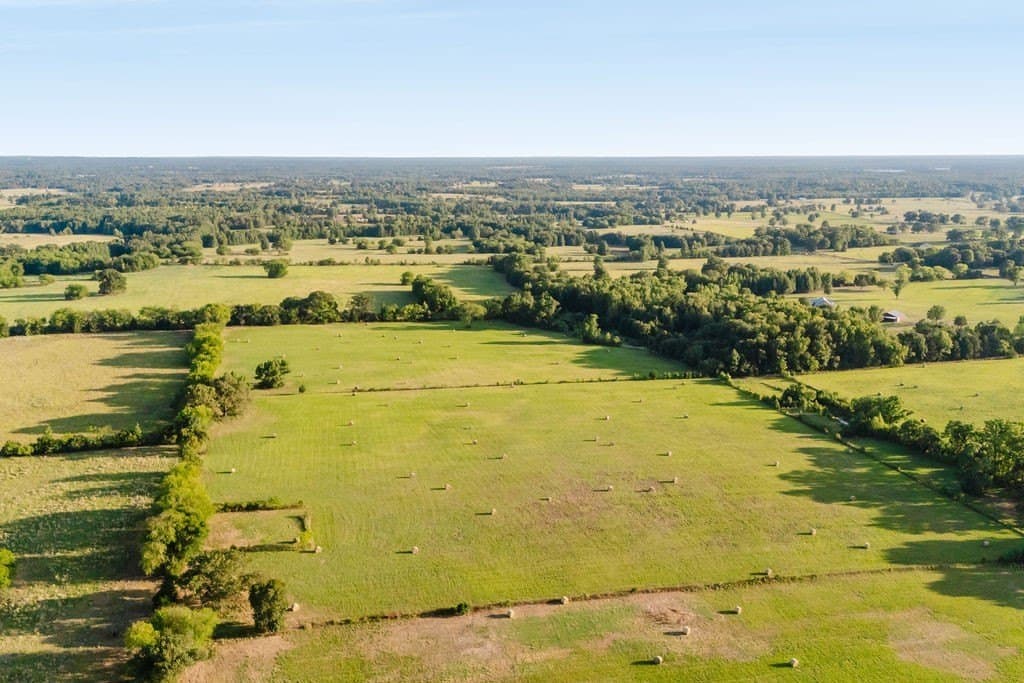 58.44 acres in Wood County - photo 17