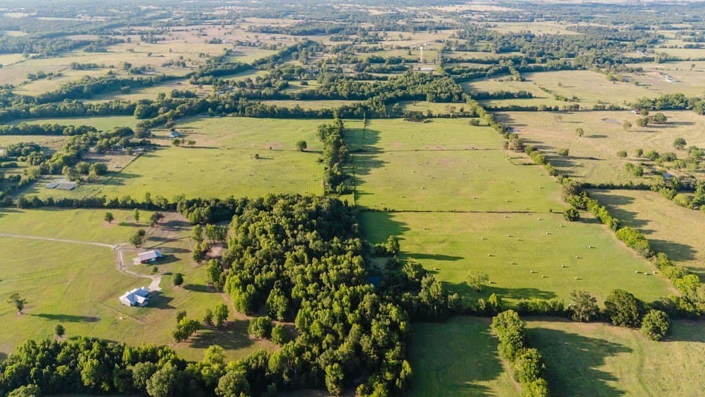 58.44 acres in Wood County - photo 7