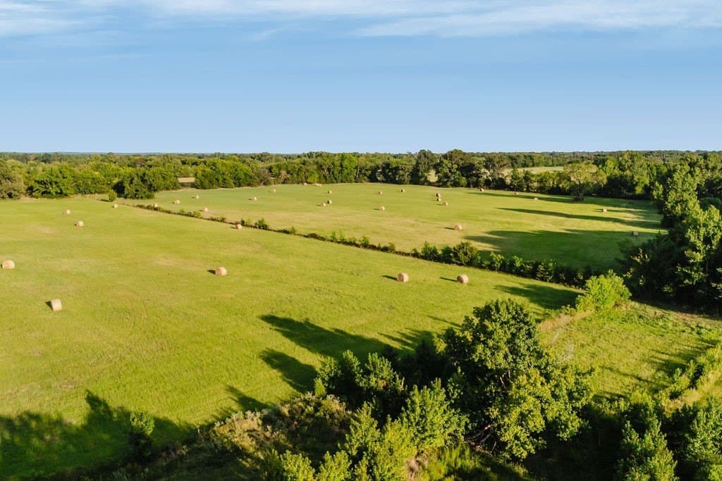 58.44 acres in Wood County - photo 16
