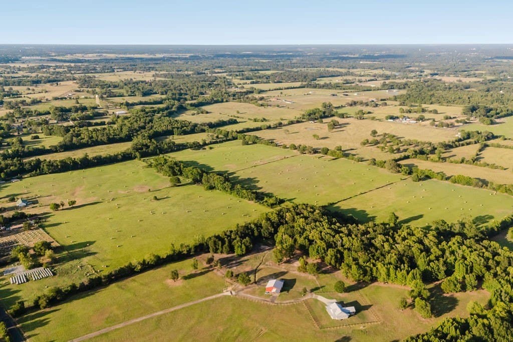 58.44 acres in Wood County - photo 6