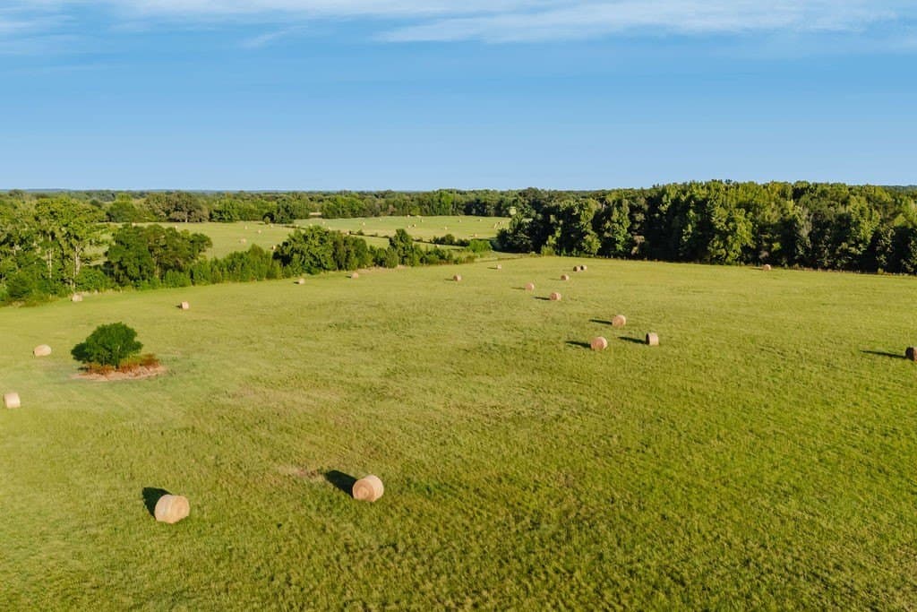 58.44 acres in Wood County - photo 14