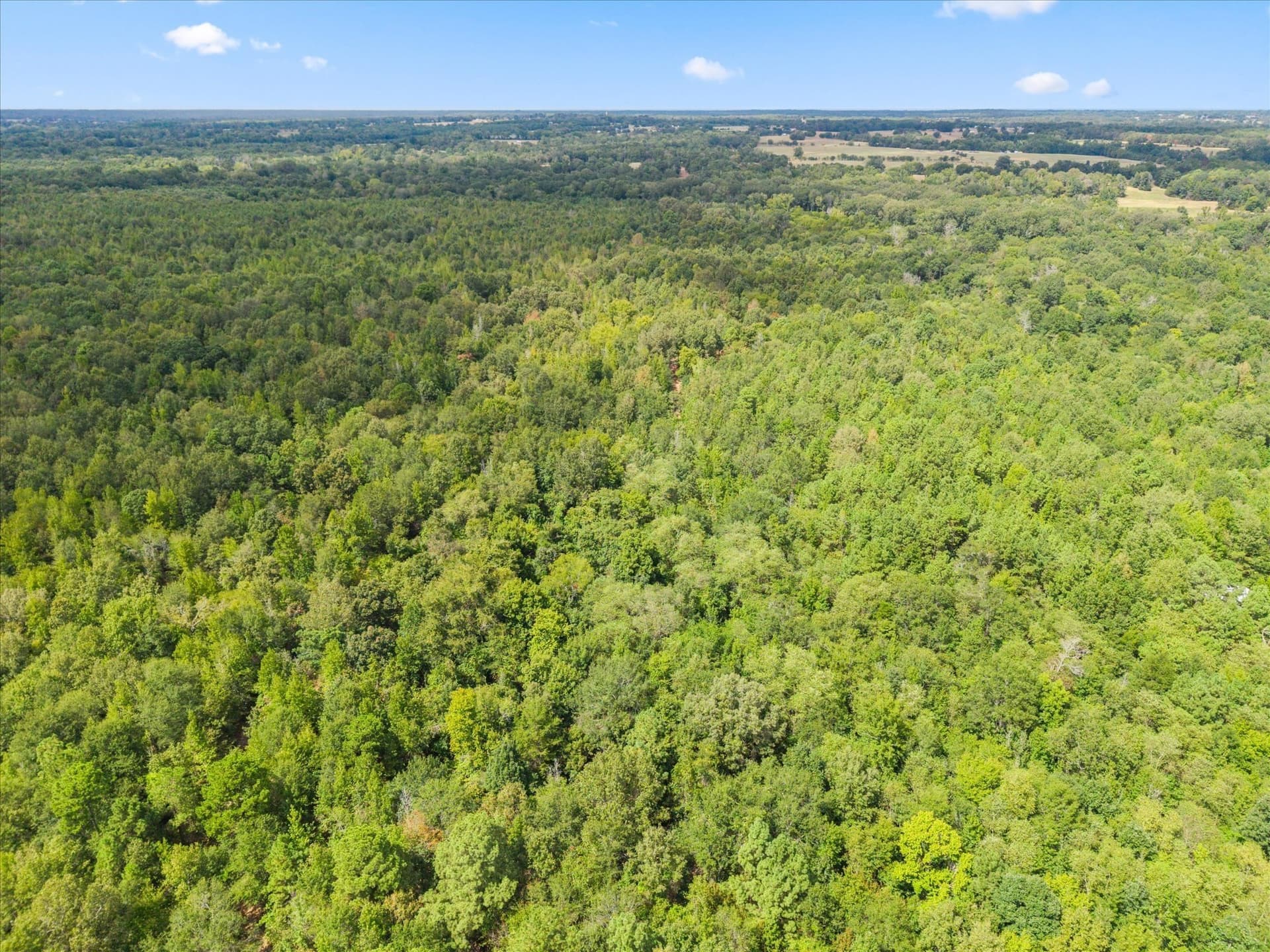 144.04 acres in Morris County - photo 38