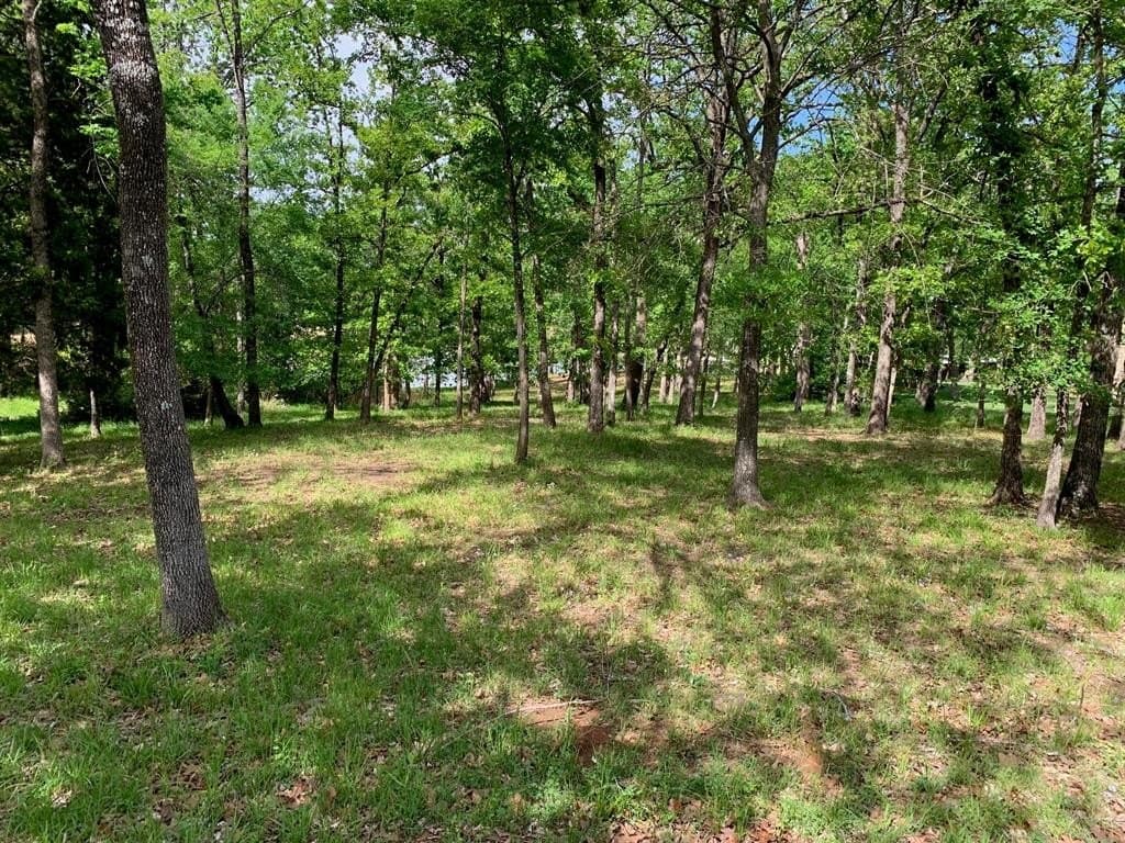 1.03 acres in Henderson County gallery image 2