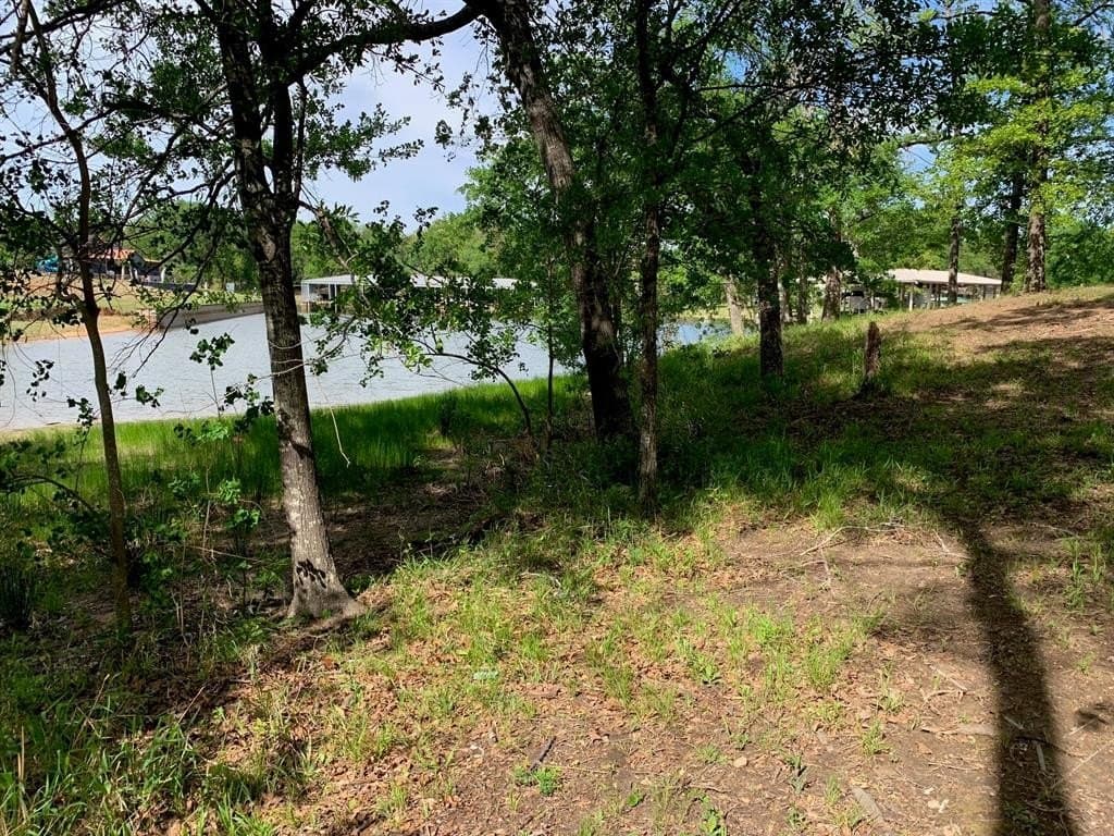 1.03 acres in Henderson County gallery image 4