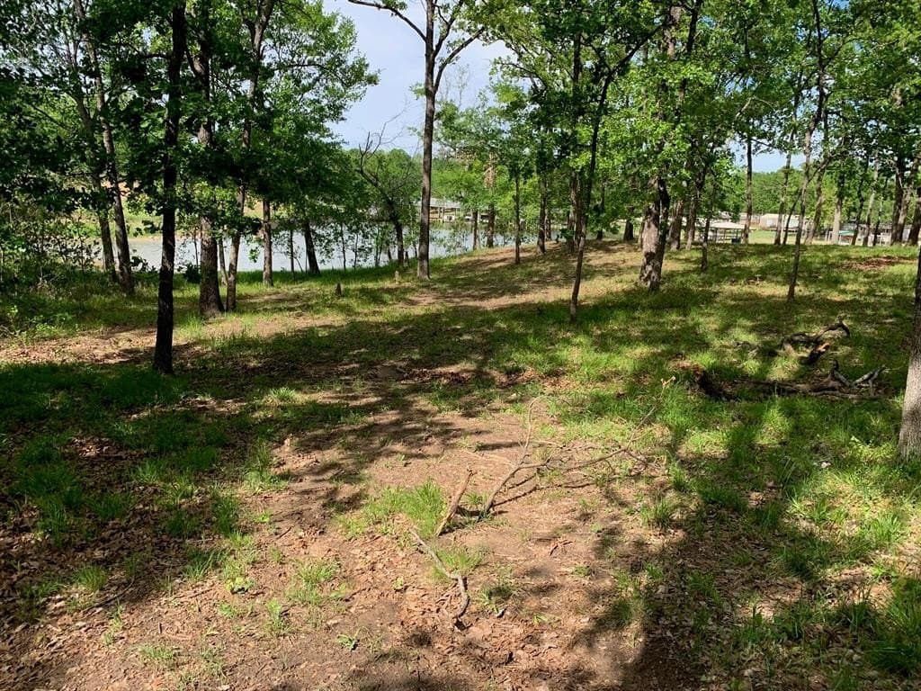 1.03 acres in Henderson County gallery image 3