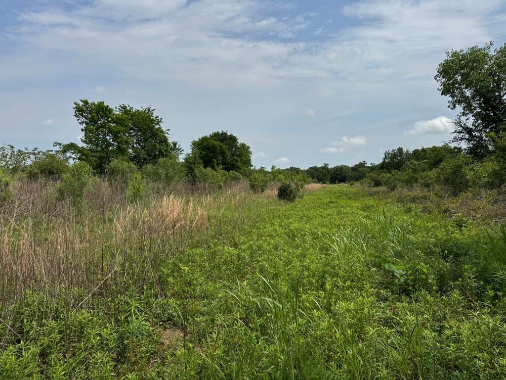 6.12 acres in Texas County gallery image 4