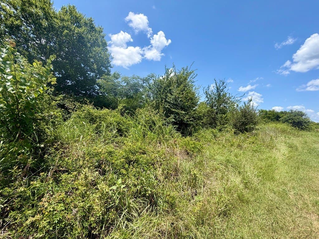 6.12 acres in Texas County - photo 6