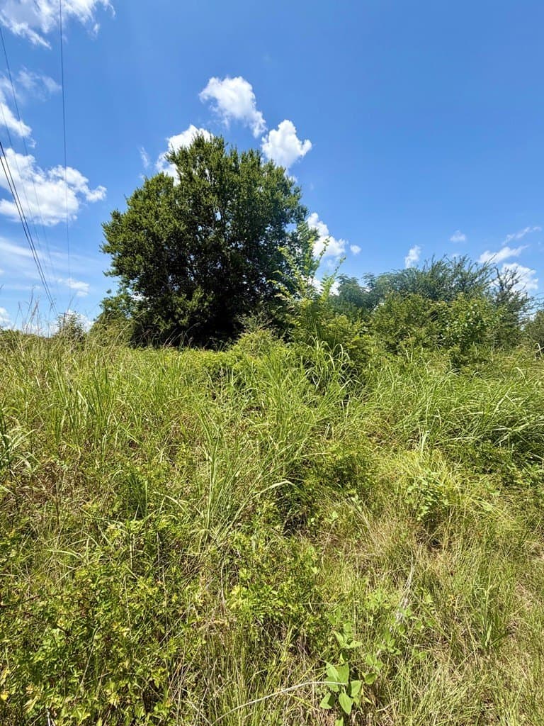6.12 acres in Texas County featured view