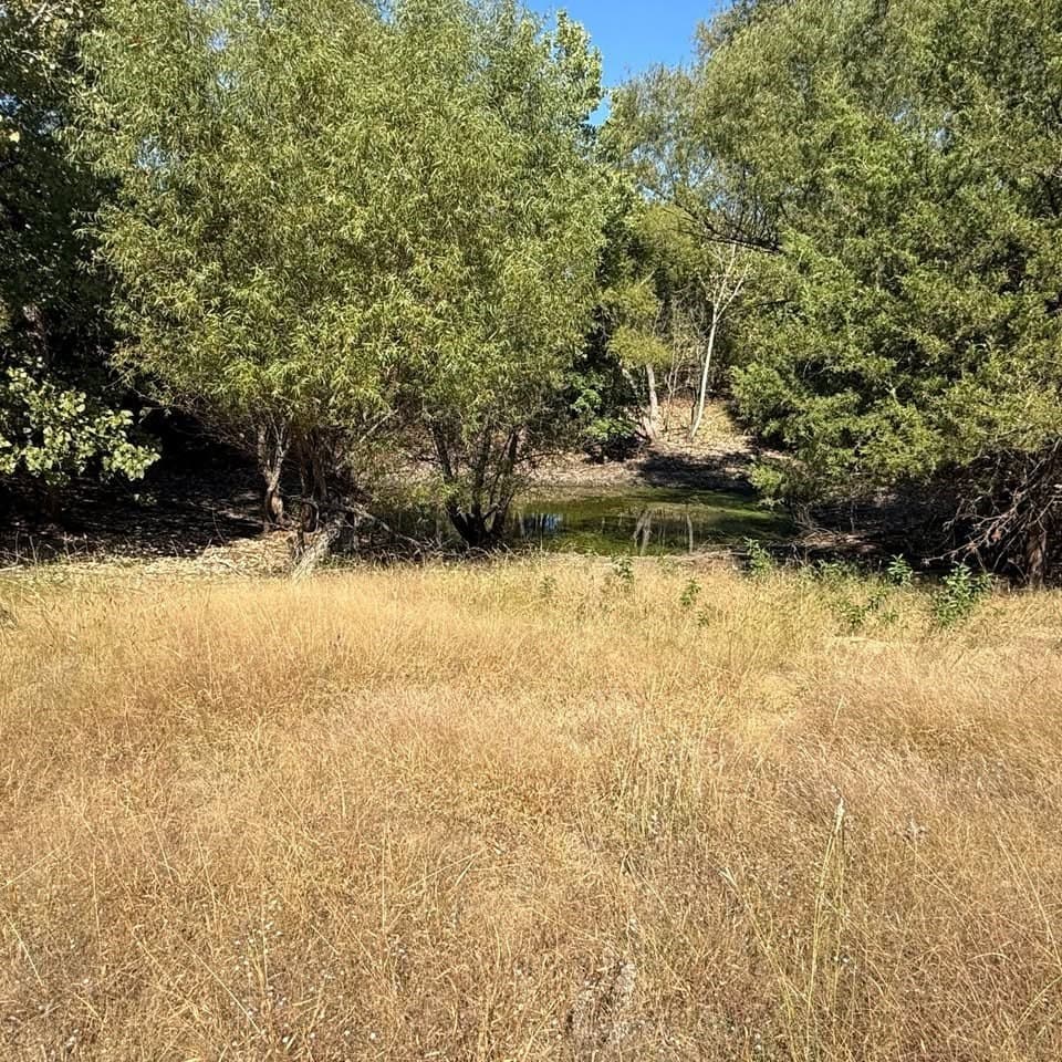 20.63 acres in Collin County - photo 3