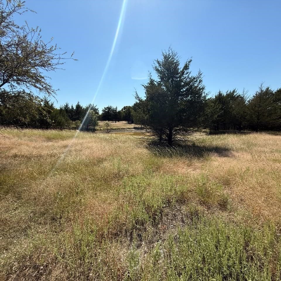 20.63 acres in Collin County - photo 5