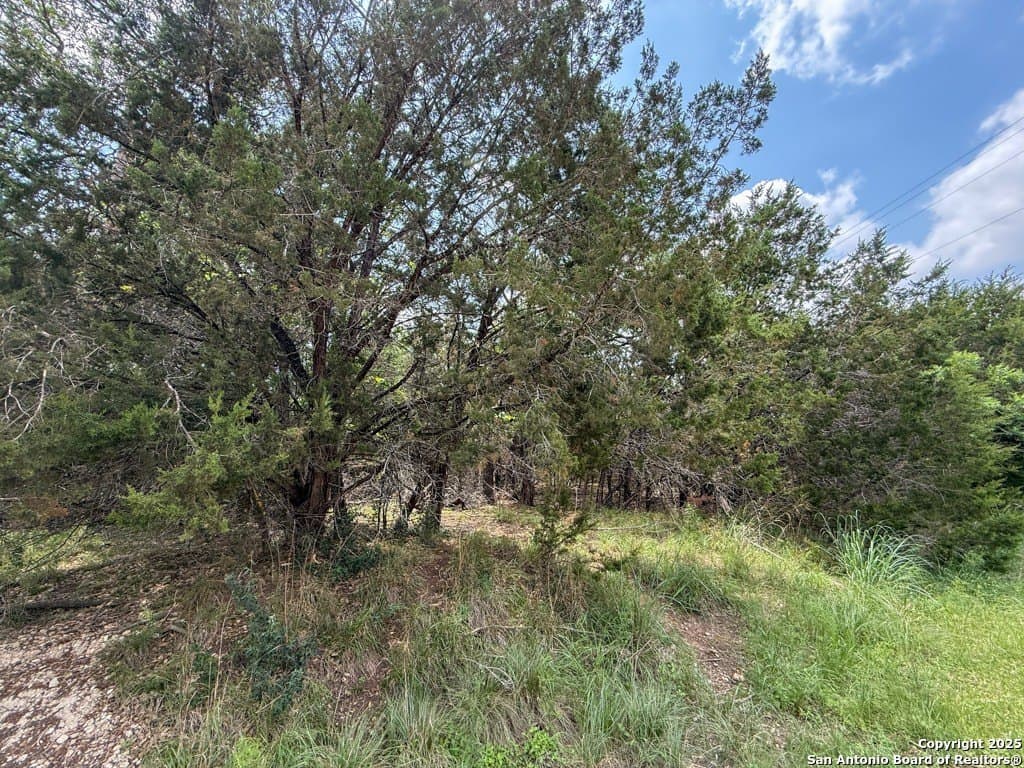 1 acres in Comal County gallery image 2