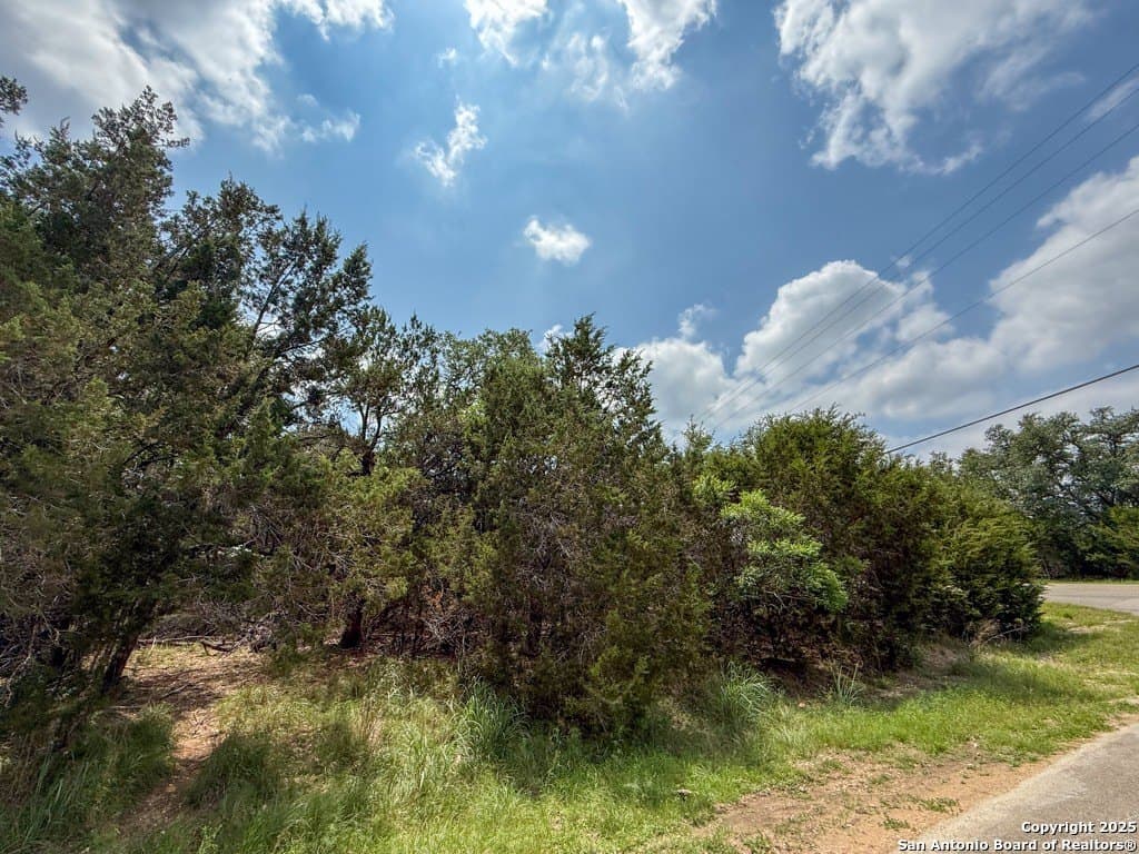 1 acres in Comal County gallery image 4