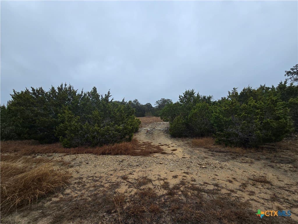 87.23 acres in Bell County gallery image 2