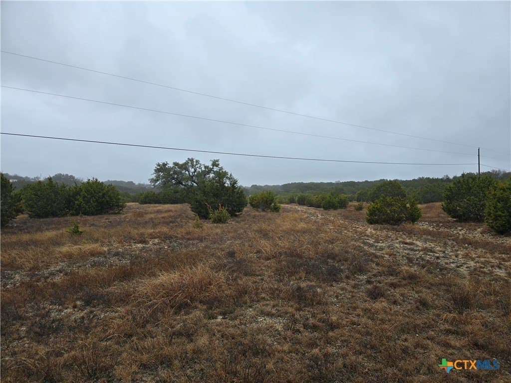 87.23 acres in Bell County gallery image 3