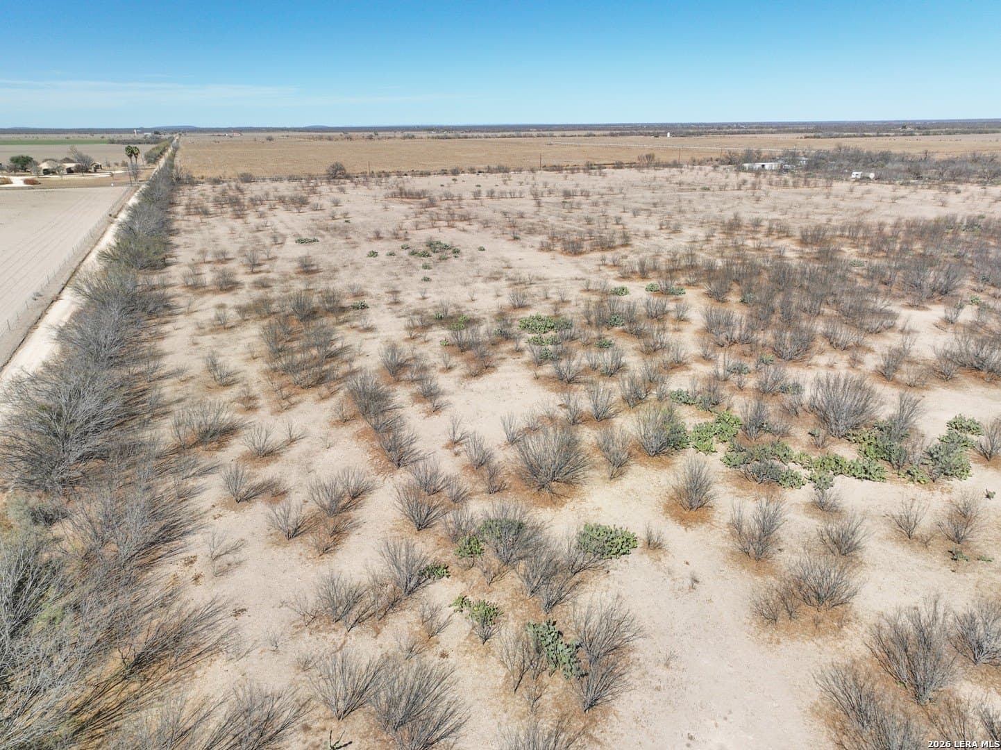 38.5 acres in Zavala County - photo 21