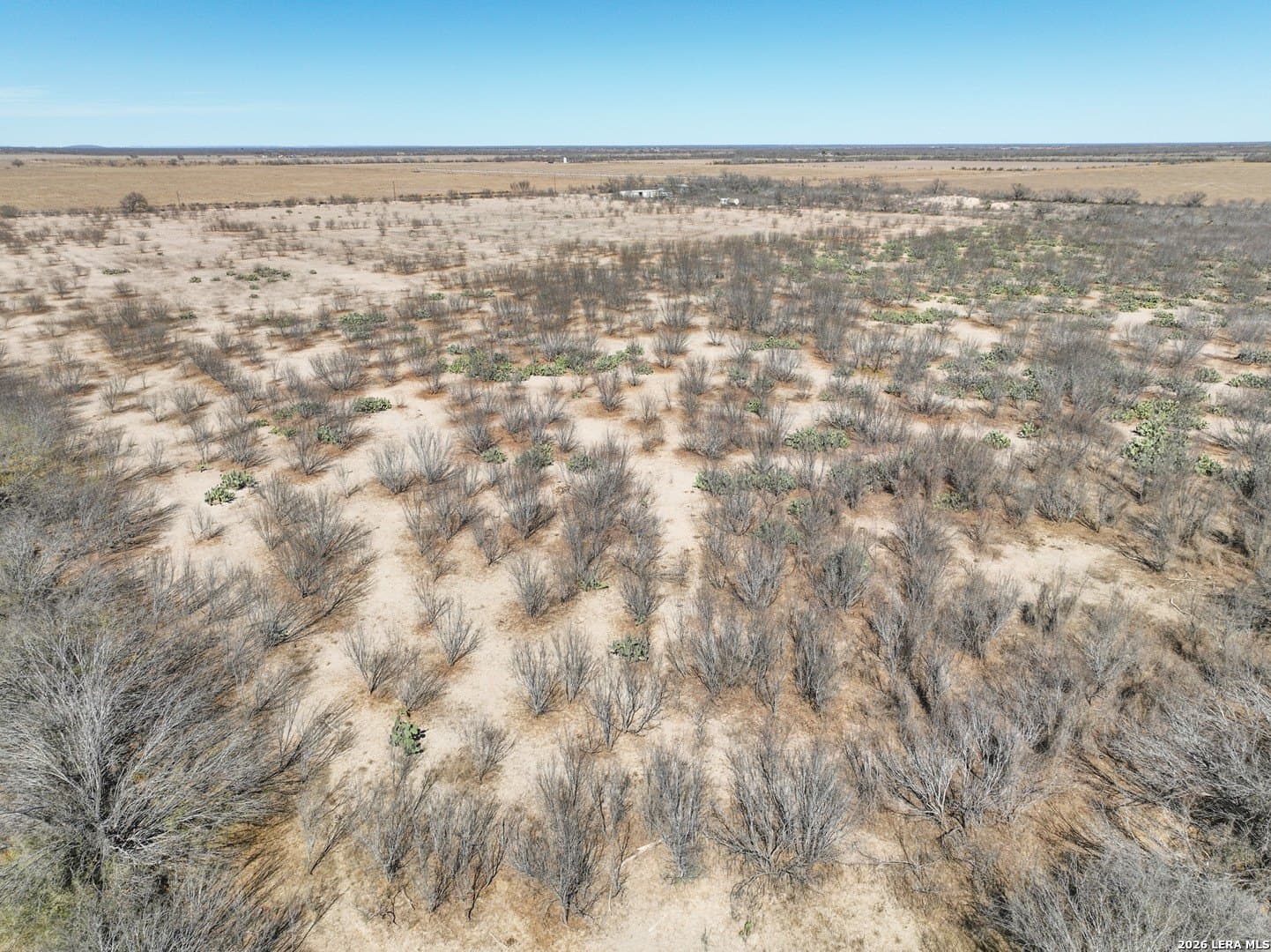 38.5 acres in Zavala County - photo 20
