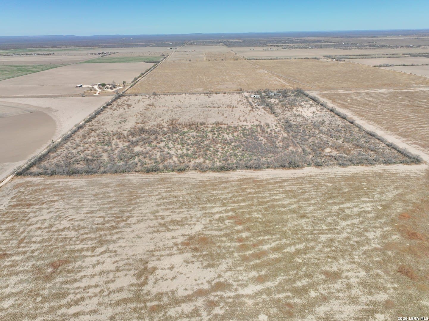 38.5 acres in Zavala County - photo 6