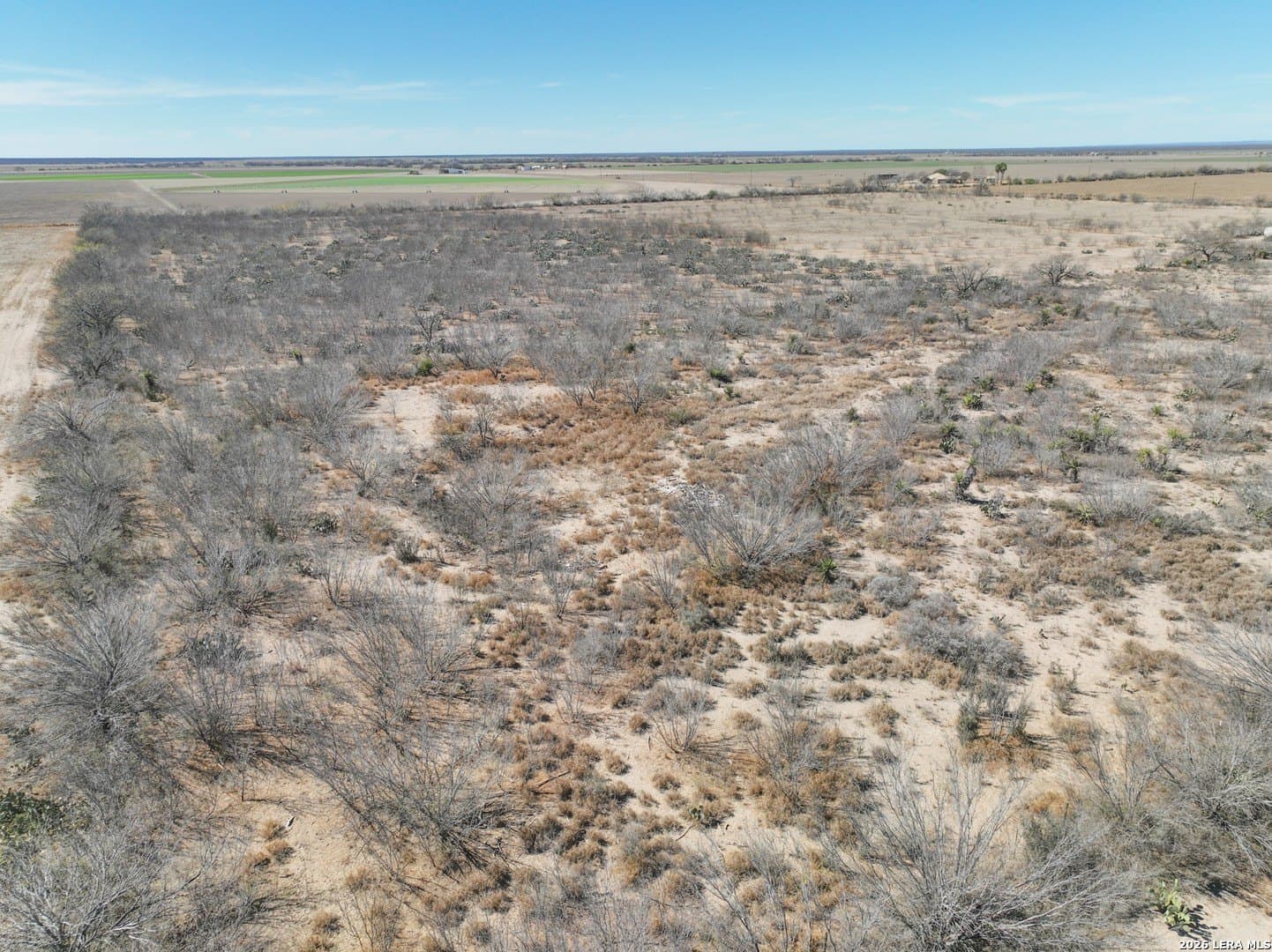 38.5 acres in Zavala County - photo 17