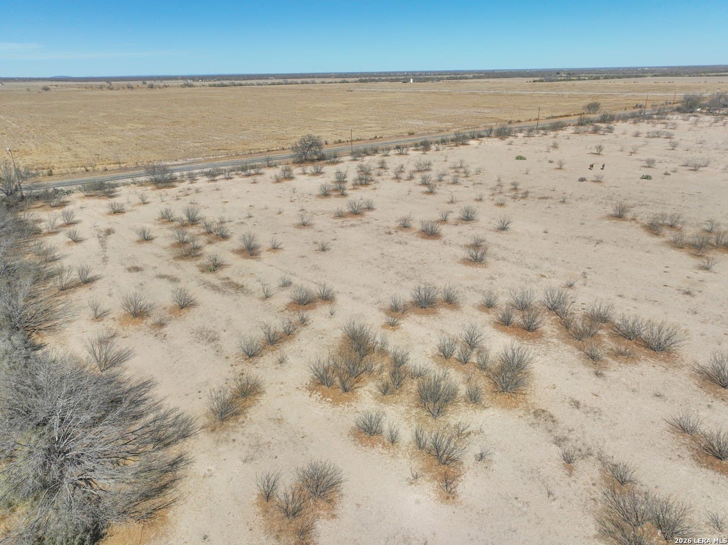 38.5 acres in Zavala County - photo 23