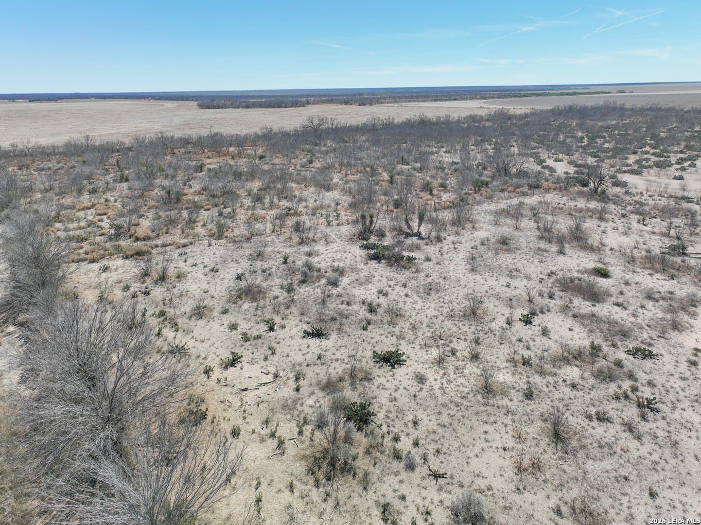 38.5 acres in Zavala County - photo 16