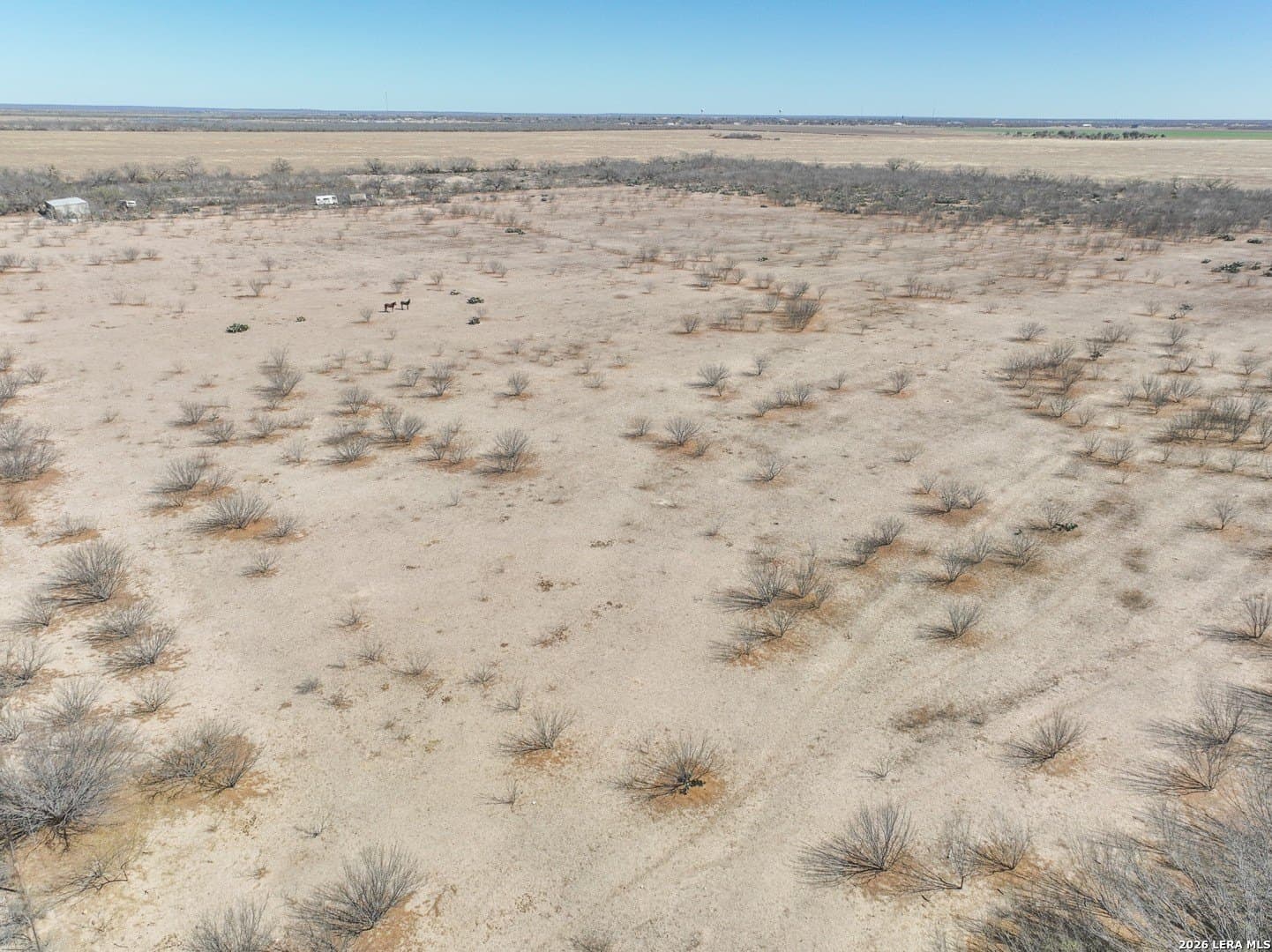 38.5 acres in Zavala County - photo 24