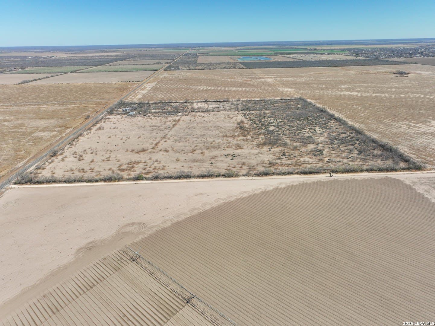 38.5 acres in Zavala County gallery image 4