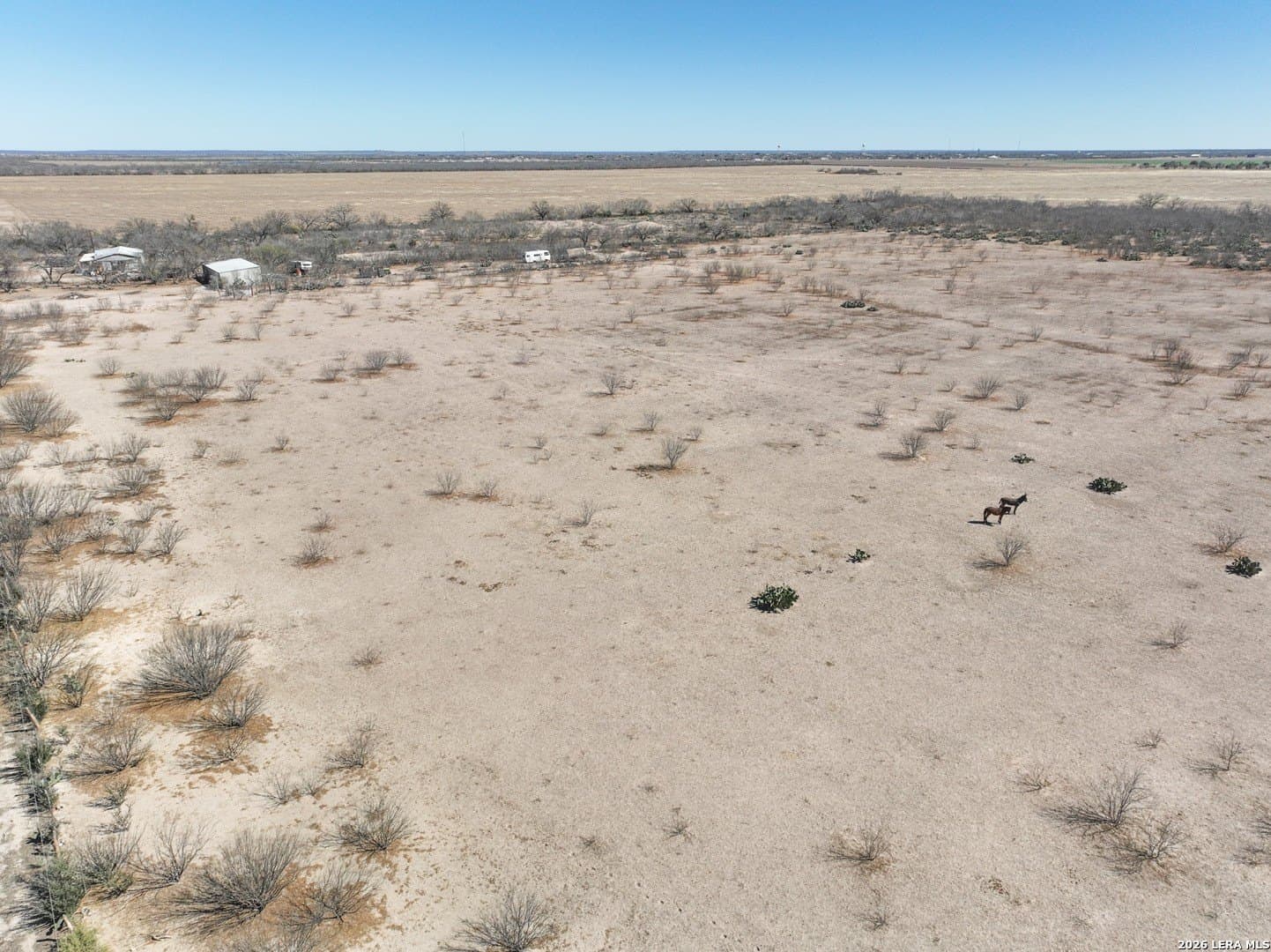 38.5 acres in Zavala County - photo 25