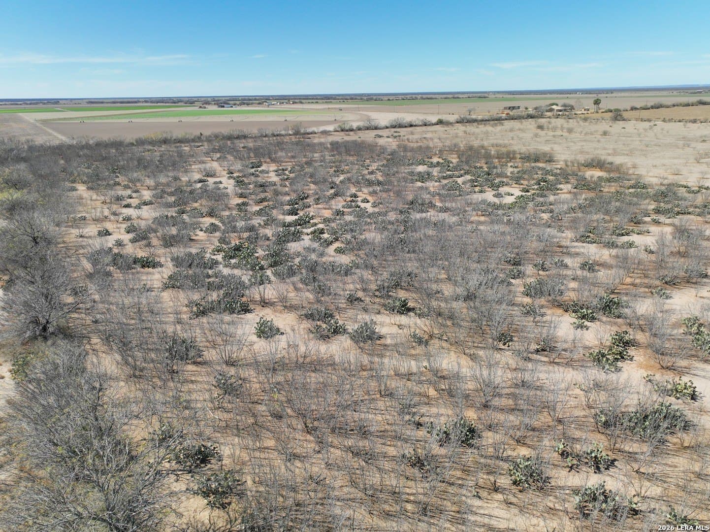 38.5 acres in Zavala County - photo 18