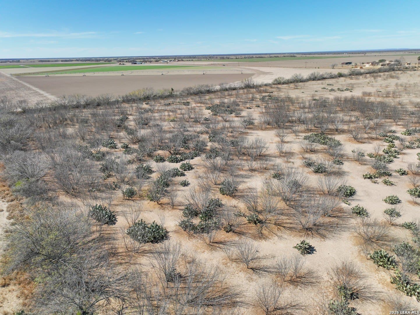 38.5 acres in Zavala County - photo 19