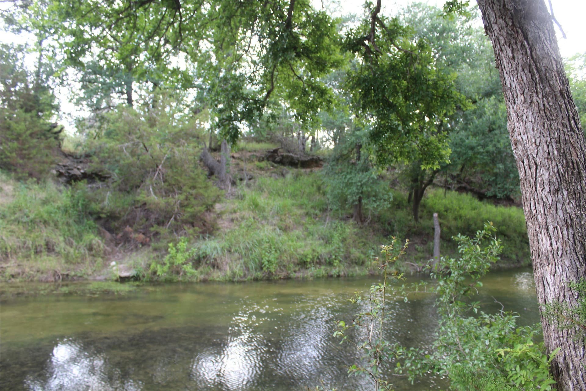 119.2 acres in Hamilton County - photo 40