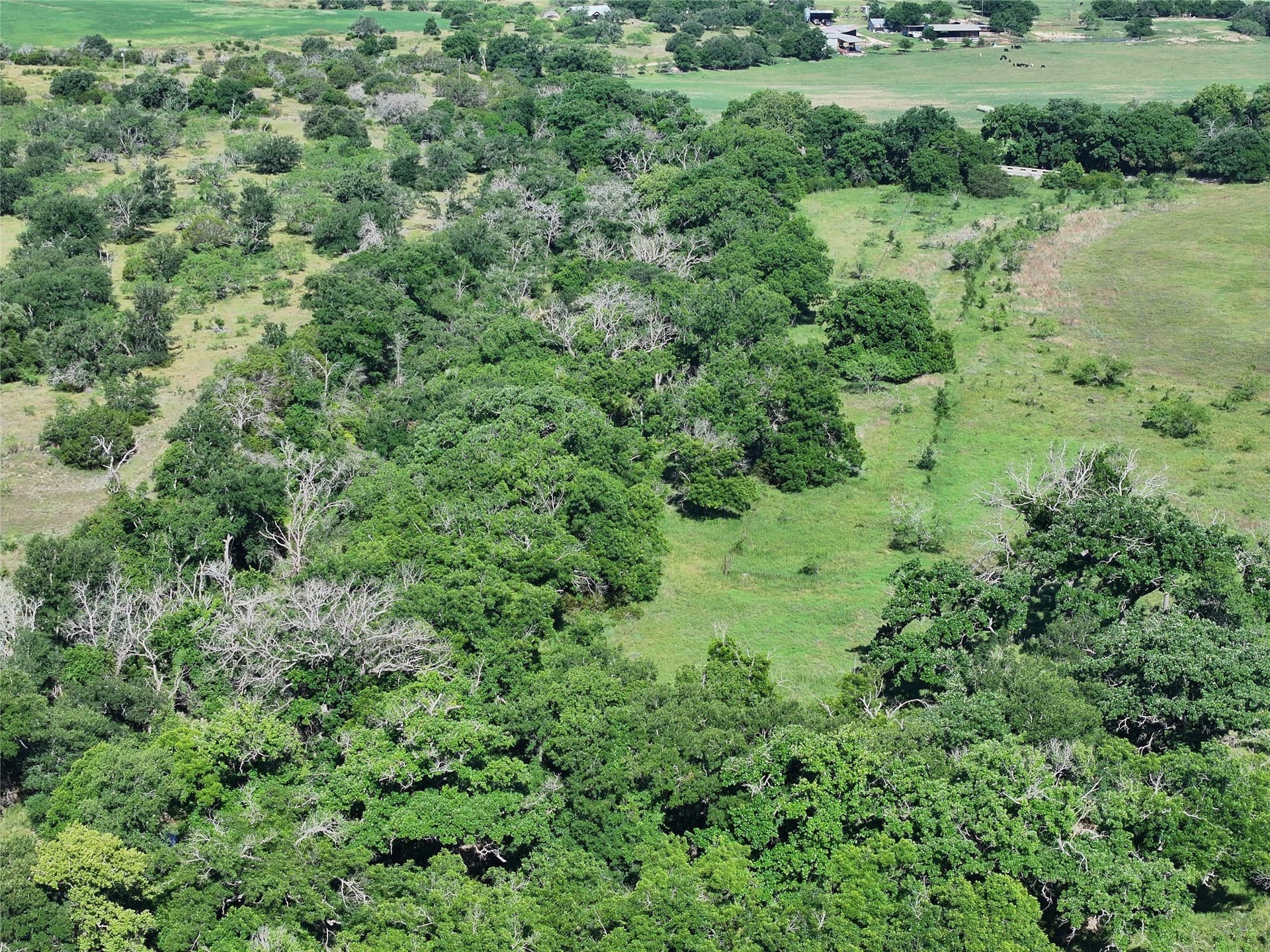 119.2 acres in Hamilton County - photo 18