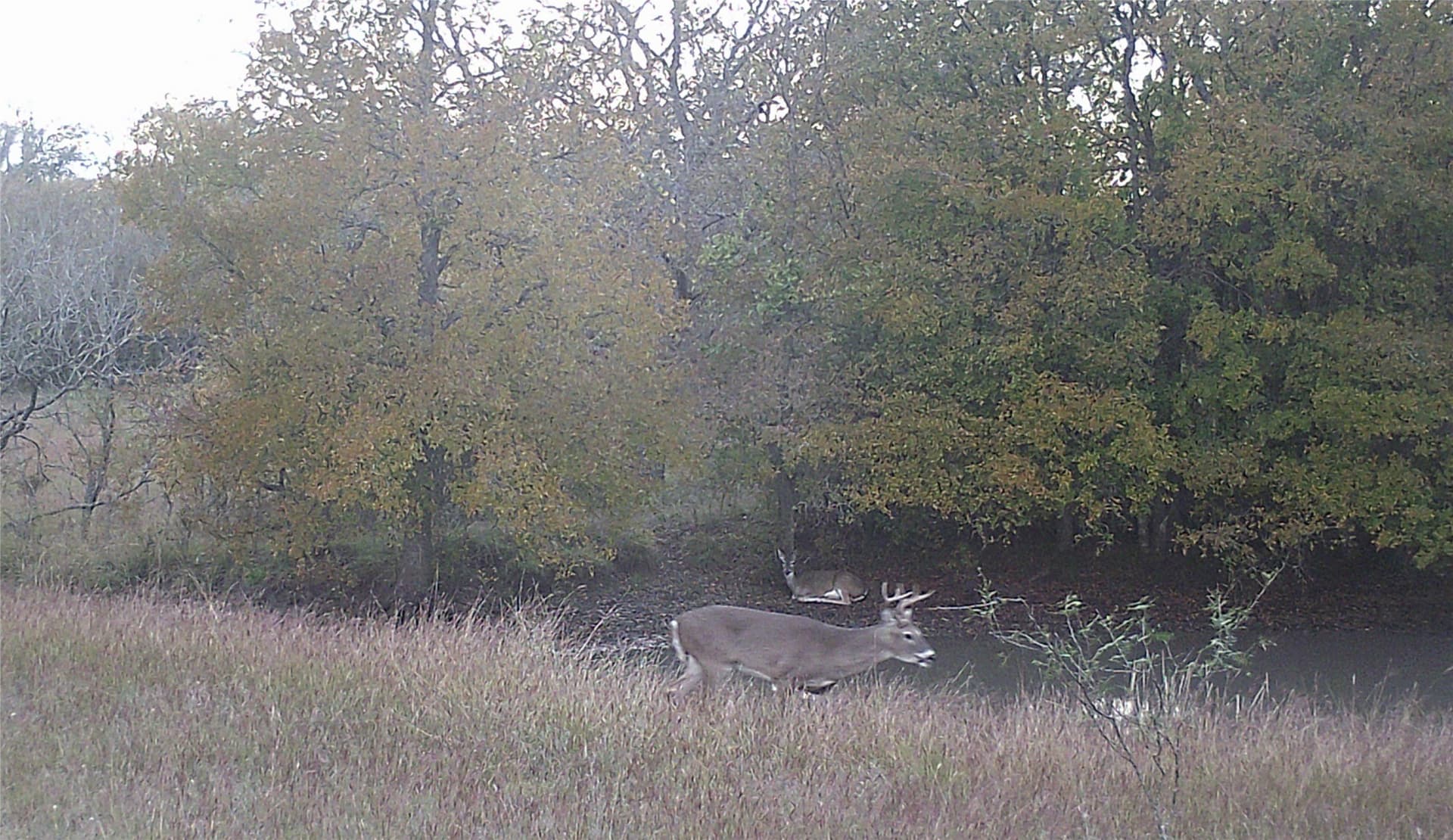 119.2 acres in Hamilton County - photo 26