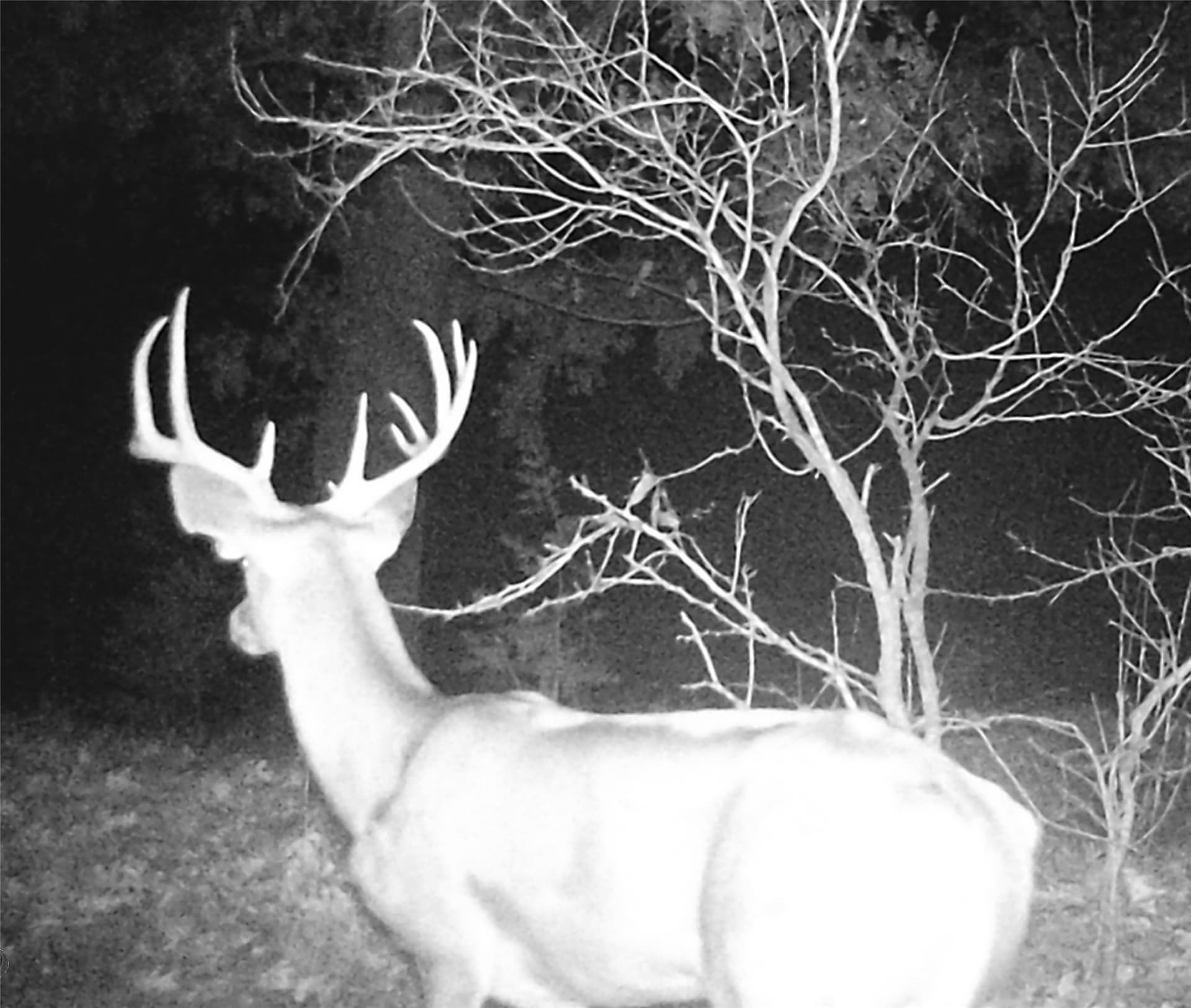 119.2 acres in Hamilton County - photo 22