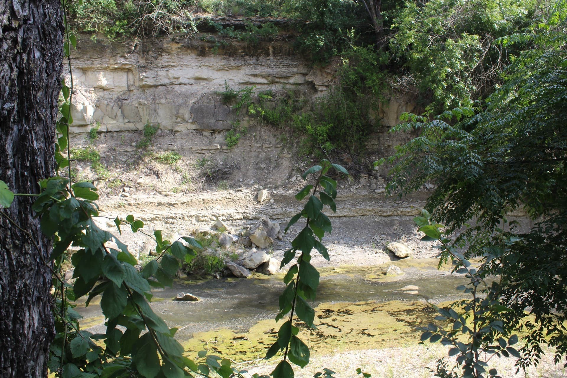 119.2 acres in Hamilton County - photo 38