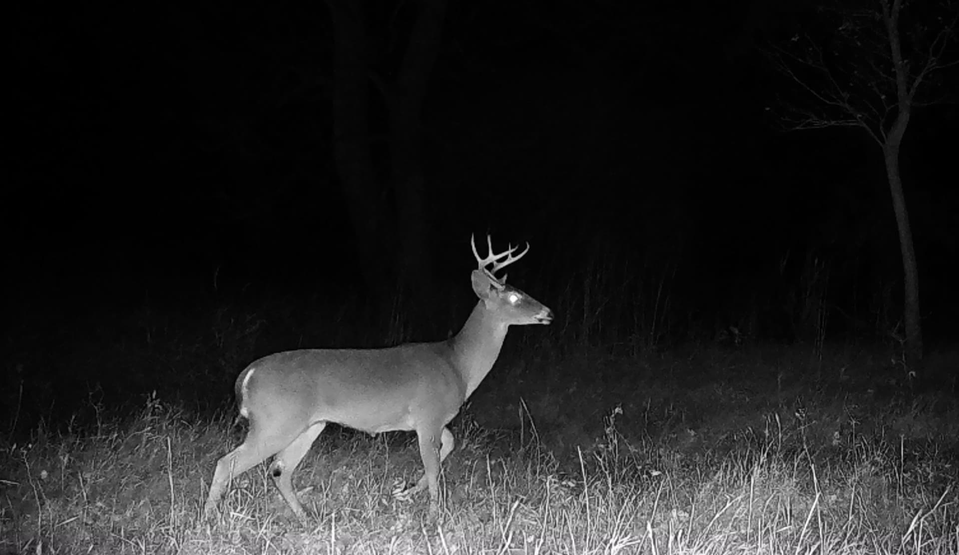 119.2 acres in Hamilton County - photo 25