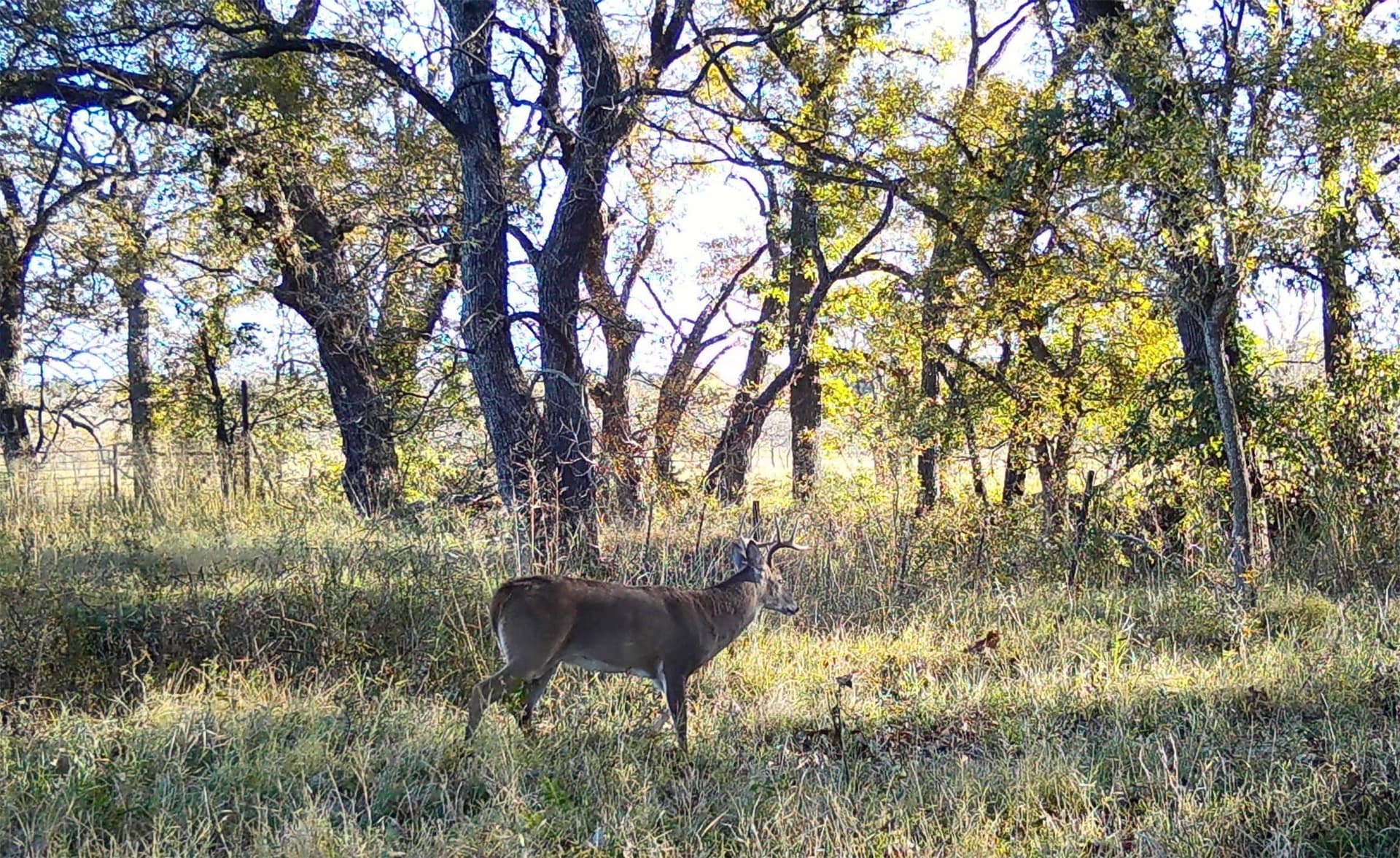 119.2 acres in Hamilton County - photo 24