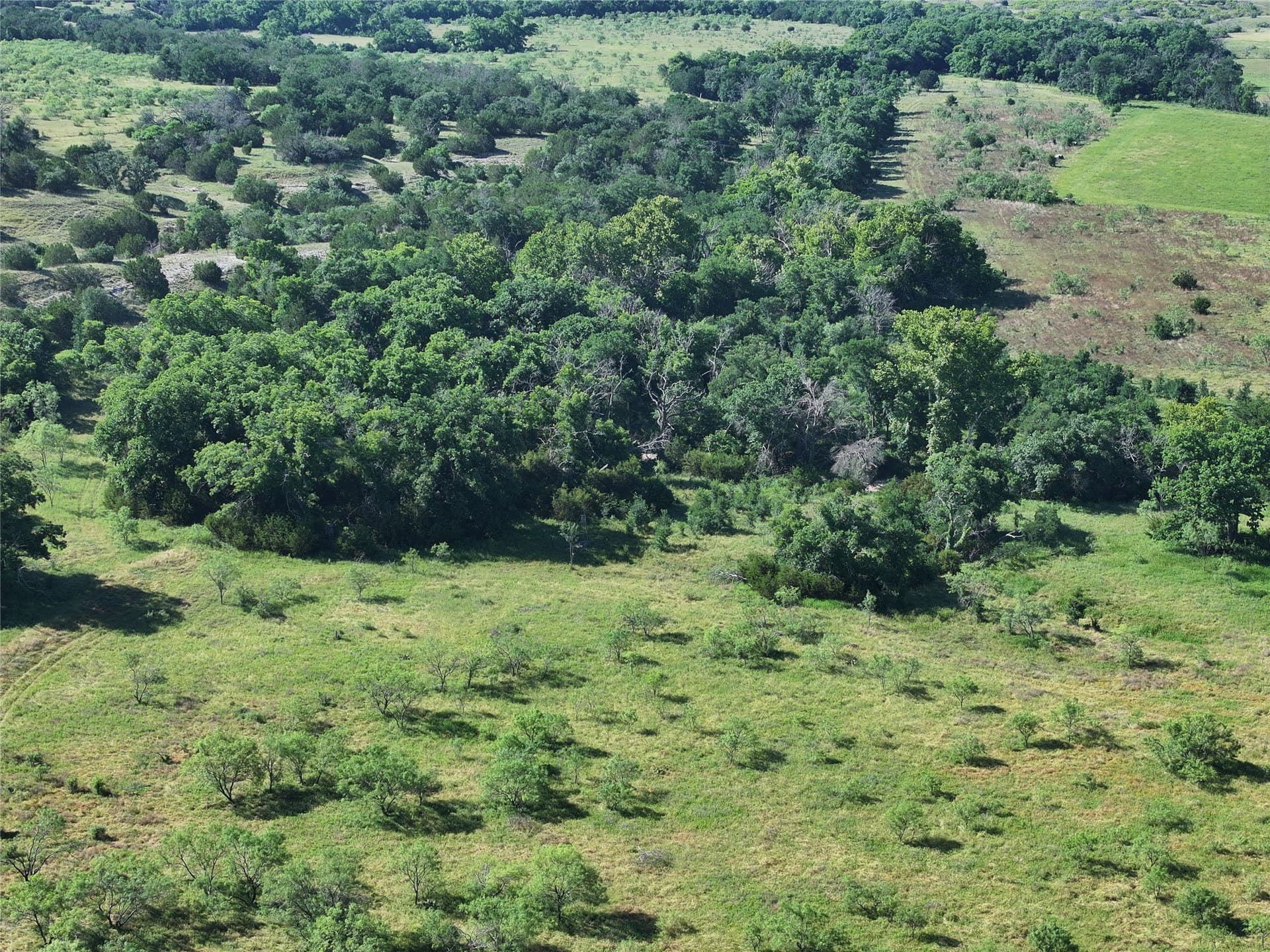 119.2 acres in Hamilton County - photo 17