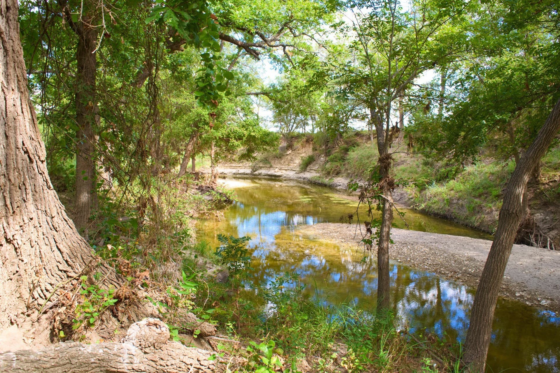 119.2 acres in Hamilton County gallery image 2