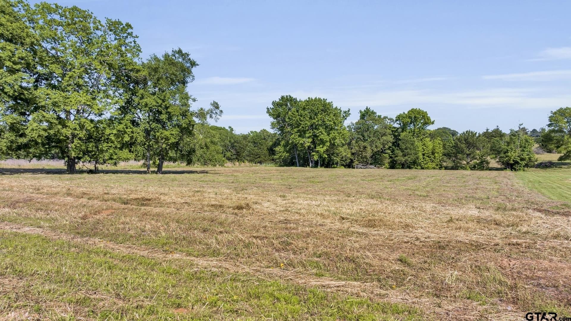 4 acres in Smith County featured view