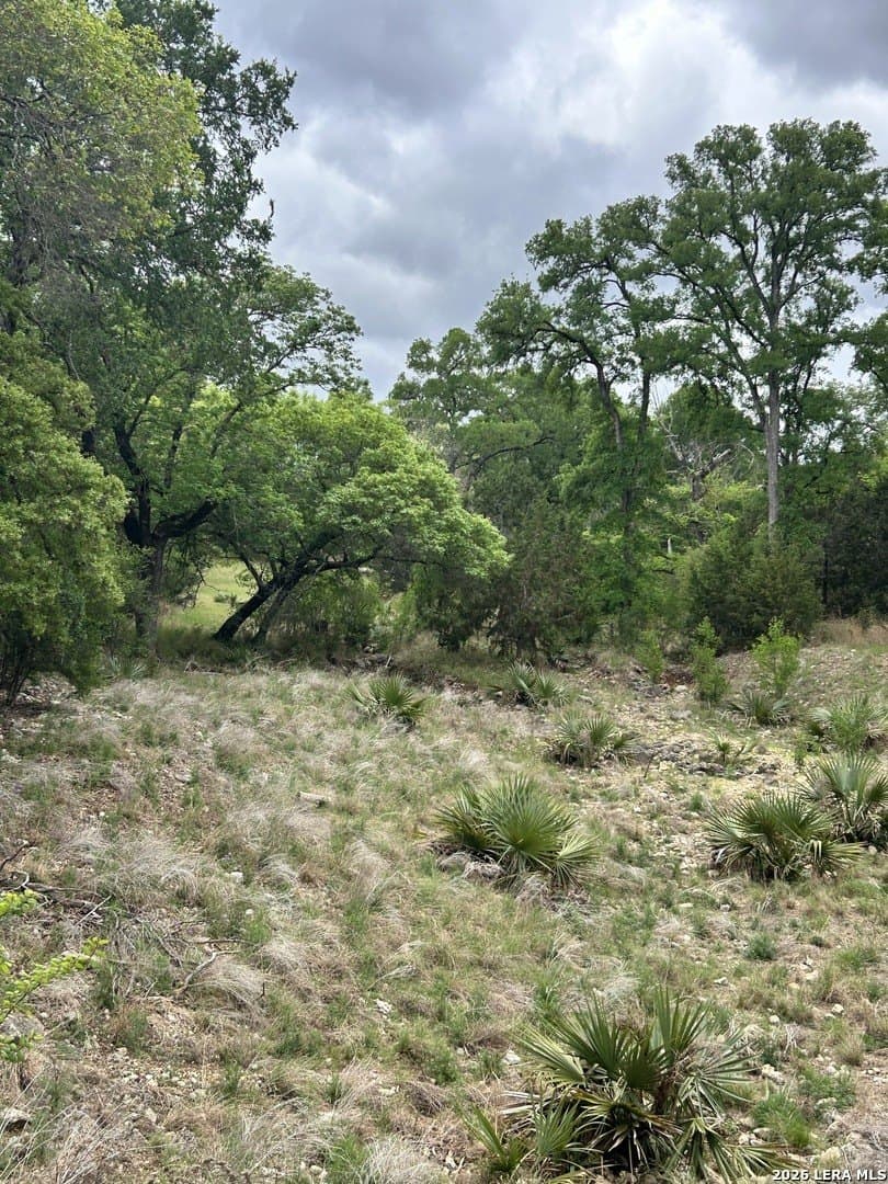 54.43 acres in Kendall County - photo 6