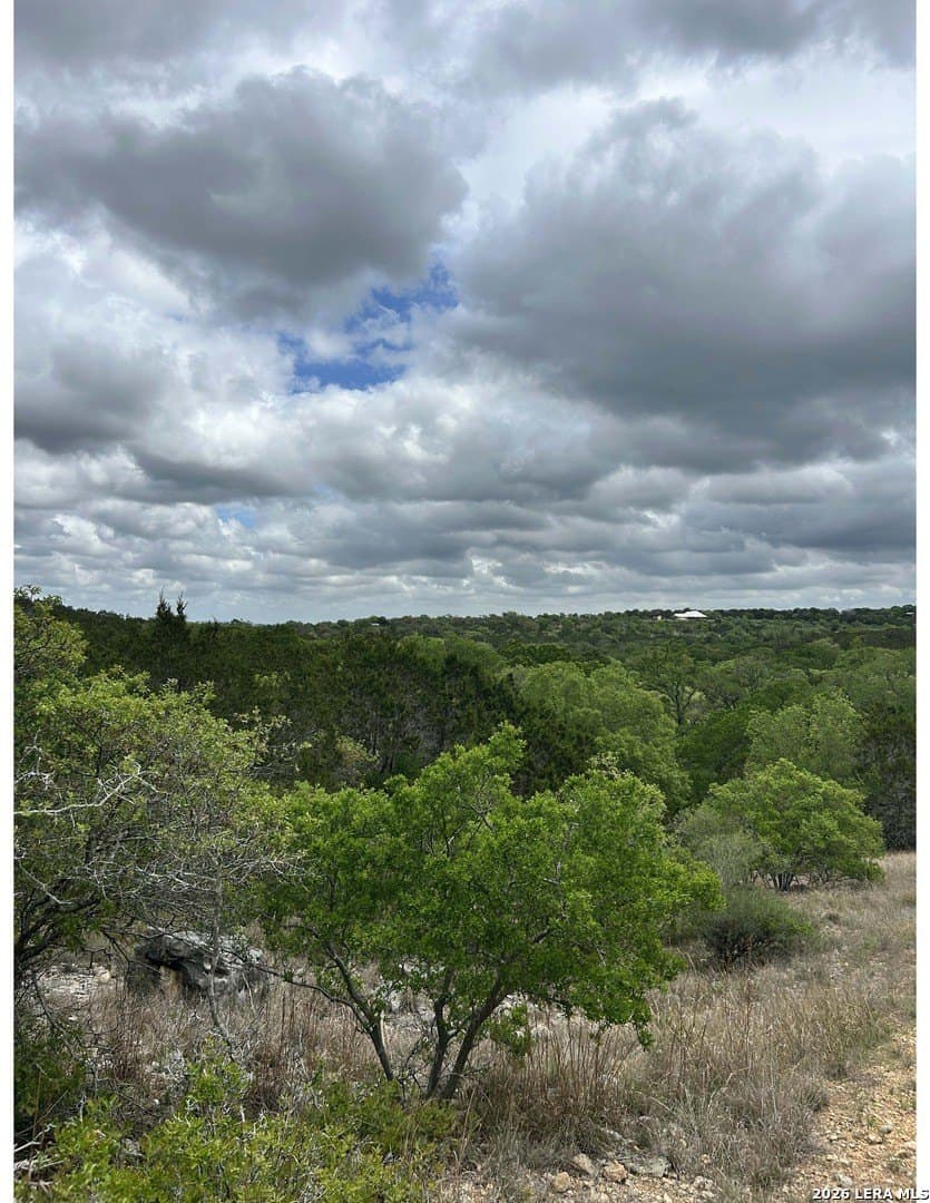 54.43 acres in Kendall County gallery image 4