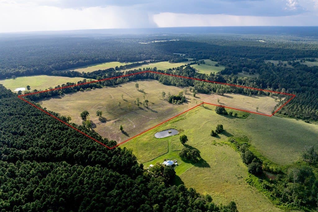 80 acres in HOUSTON County gallery image 4