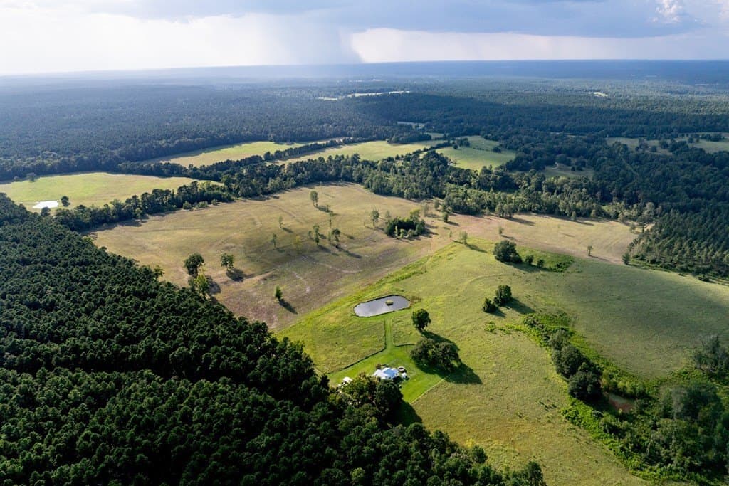 80 acres in HOUSTON County featured view