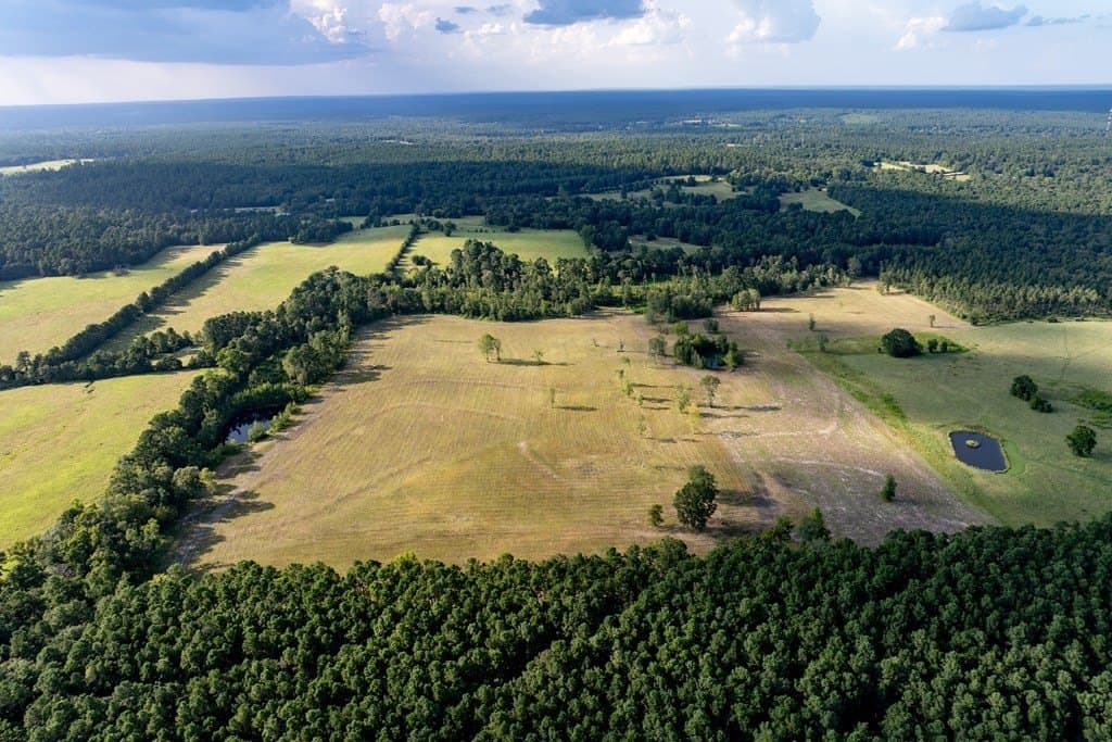 80 acres in HOUSTON County gallery image 3