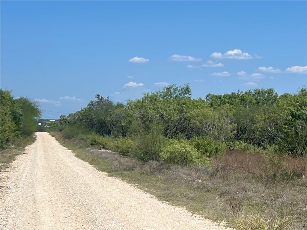 1.08 acres in Live Oak County gallery image 2