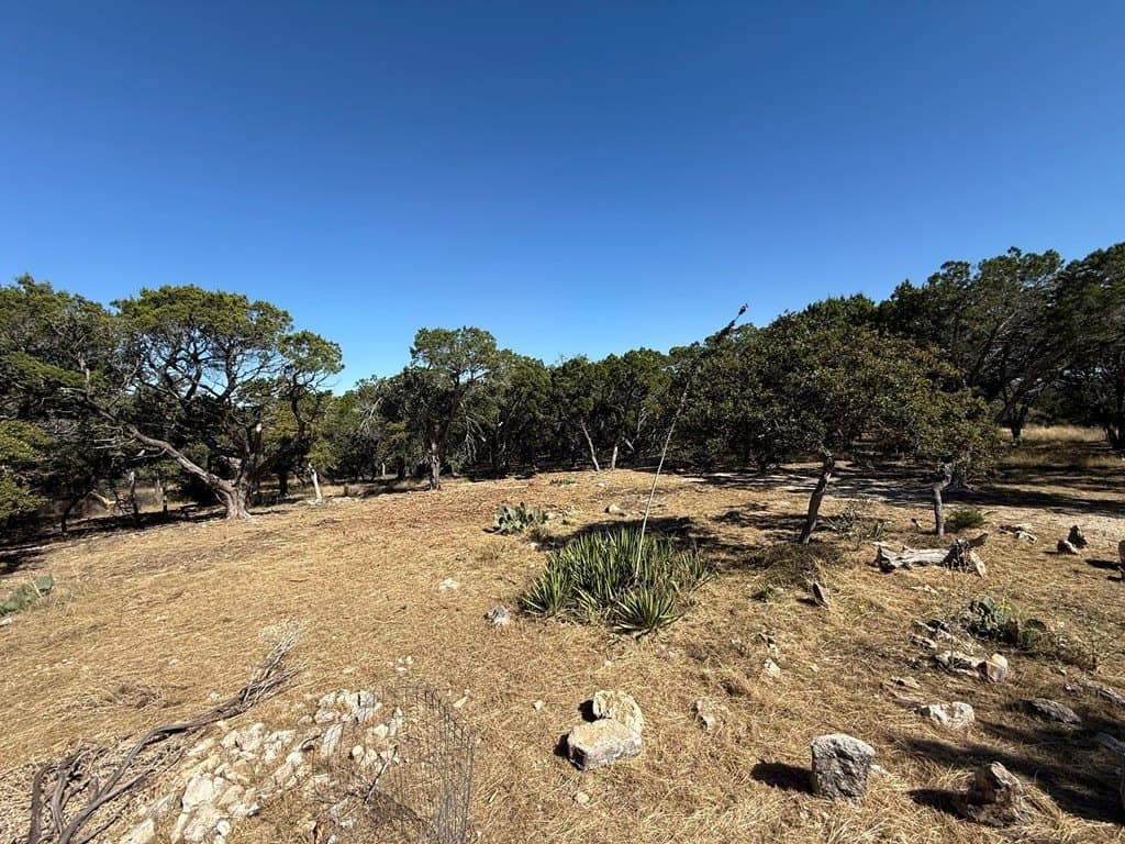 10 acres in Gillespie County - photo 14