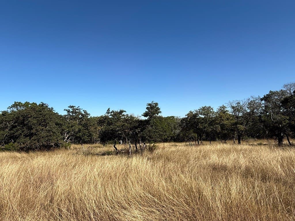 10 acres in Gillespie County - photo 5